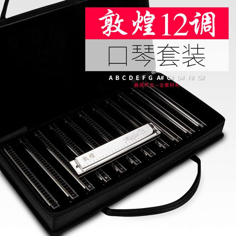 敦煌口琴 复音C调演奏口琴12调别套装口琴ABDEFGC#D#F#G#A#调