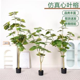 北欧仿真植物落地仿真绿植盆栽橡皮树商场造景摆件装饰落地心叶榕