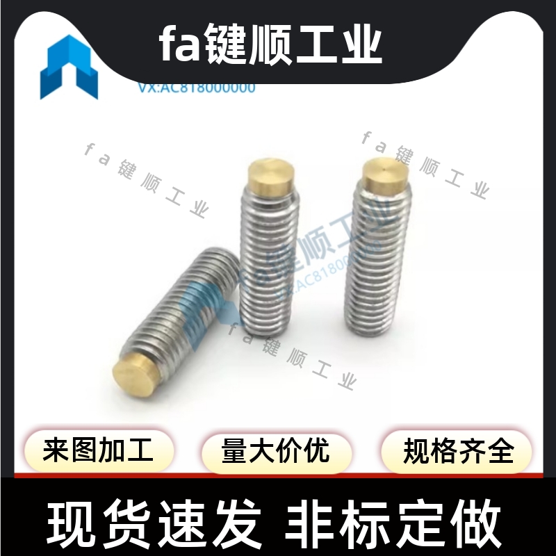 TDA31 不锈钢 粗牙 内六角止动螺栓铜头 紧定螺丝 精品SBCPS6