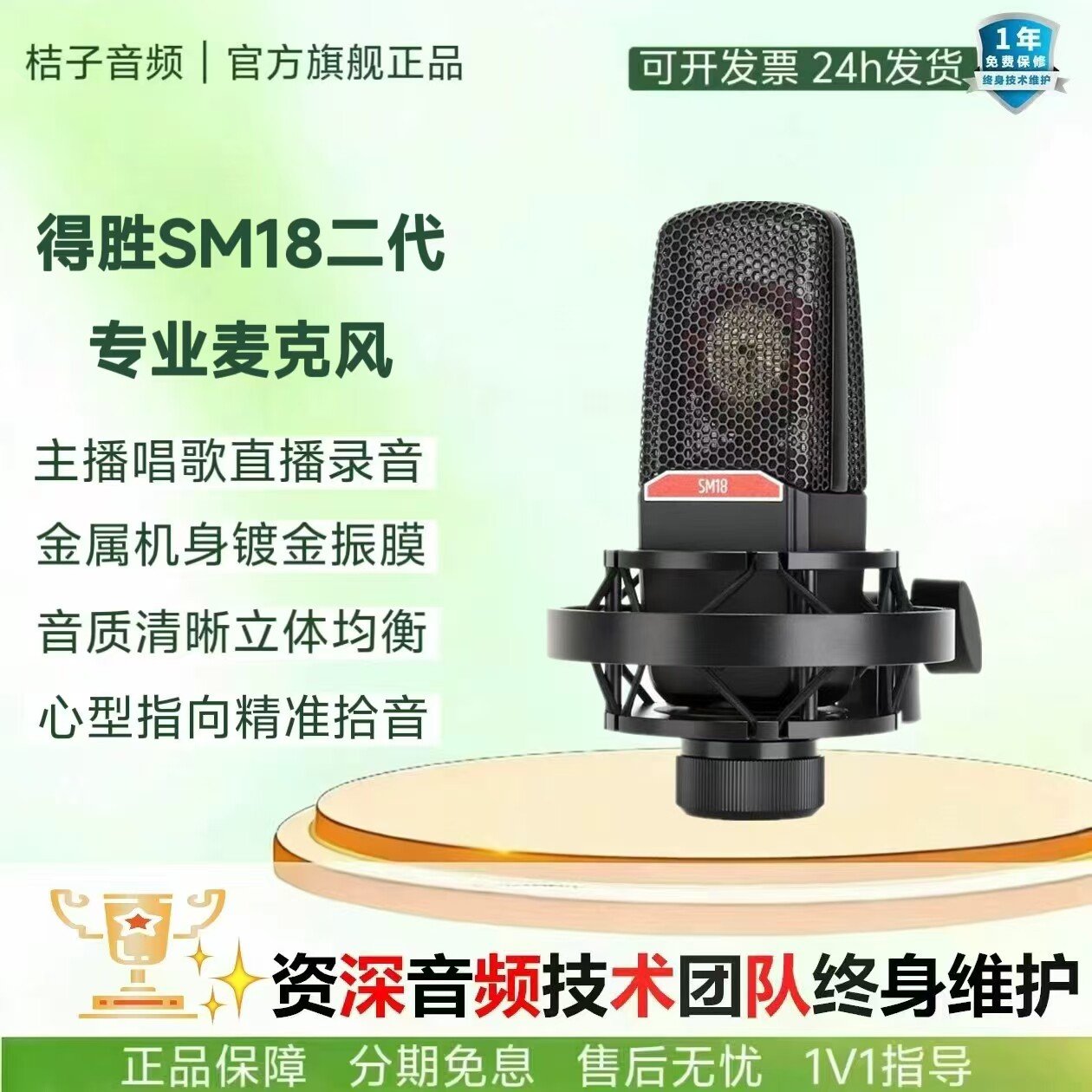 【网红推荐】得胜SM-18二代话筒