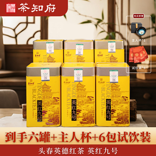 茶知府 广东正宗英德红茶英红九号 9号 罐装一级红茶 茶叶