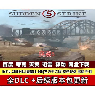 突袭5 免steam中文电脑游戏学习版 网盘下载解压即玩包更新