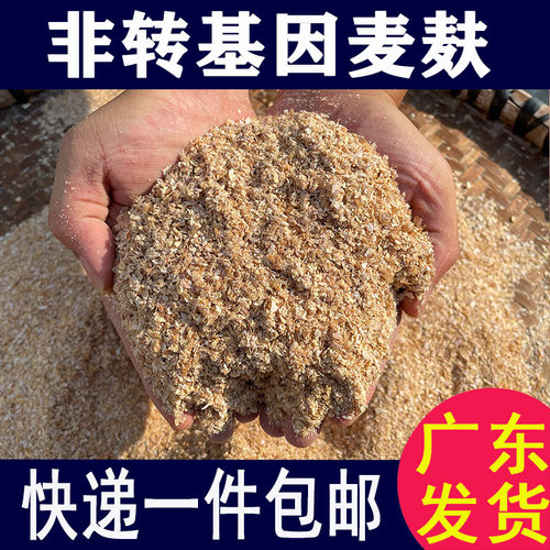 新鲜粗麦麸皮小麦麸鸡鹅鸭家禽饲料 钓鱼面包虫喂猪兽用粮食皮粉