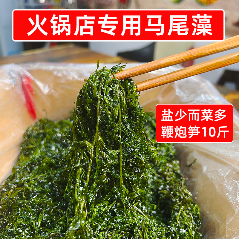 火锅店专用马尾藻10斤一箱盐渍鞭炮笋脆嫩海草商用海藻麻辣烫食材