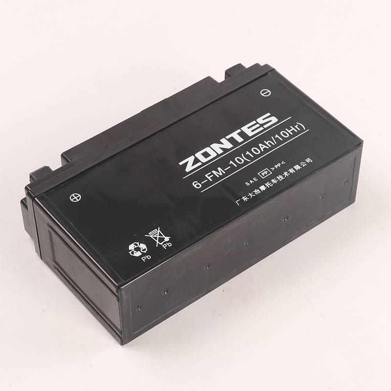 升仕ZT310-X1-X2-T1-T2-R1-R2-VX摩托车胶体电池电瓶蓄电池充电器