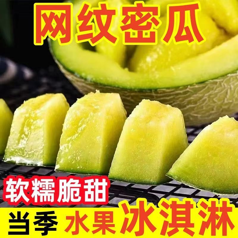 当季玫珑瓜网纹蜜瓜冰淇淋甜瓜一藤一瓜当天现摘当季水果哈密瓜