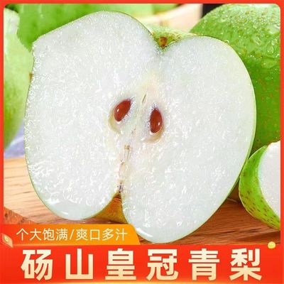 【头茬】砀山皇冠蜜梨新鲜水果青梨子现摘苹果梨当季水果9斤