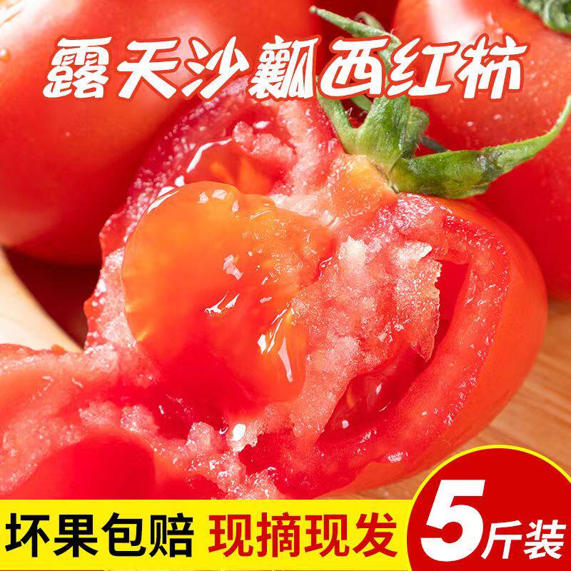 正宗陕西普罗旺斯大西红柿沙瓤番茄时令蔬菜农家老品种生吃整箱