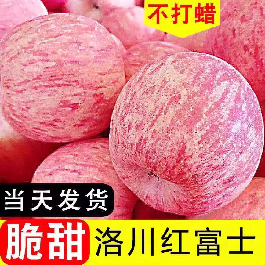 正宗陕西洛川红富士苹果新鲜水果冰糖心脆甜精选大果现摘现发5斤
