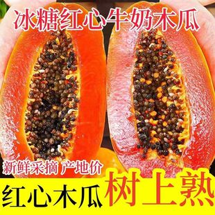 红心冰糖木瓜冰糖心牛奶木瓜青皮发货5斤当季新鲜水果整箱批发