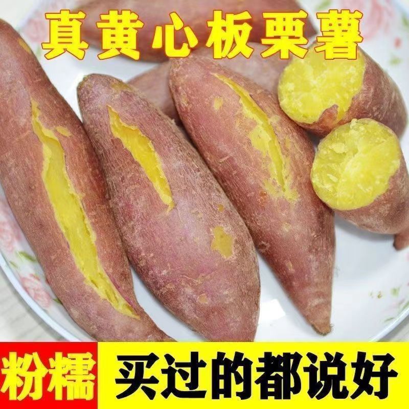 红薯地瓜新鲜农家自种沙地红蜜薯黄心板栗山芋小番薯粗粮红心软糯