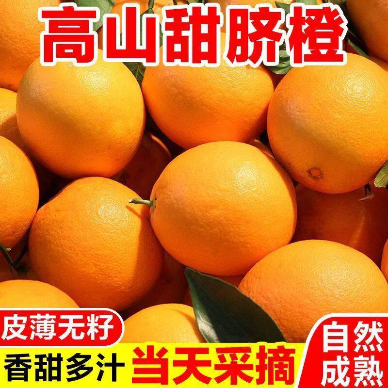 秭归脐橙纽荷尔新鲜当季孕妇水果高山果冻甜橙子彩箱包邮现摘