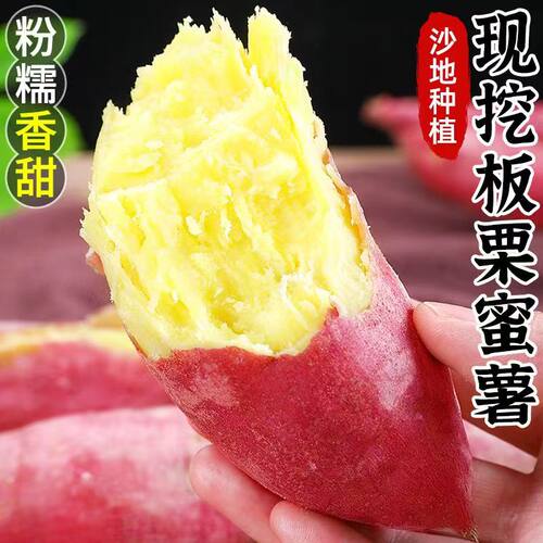 板栗红薯陕西板栗红薯5斤新鲜现挖蜜薯糖心番薯黄心农家自种粉糯