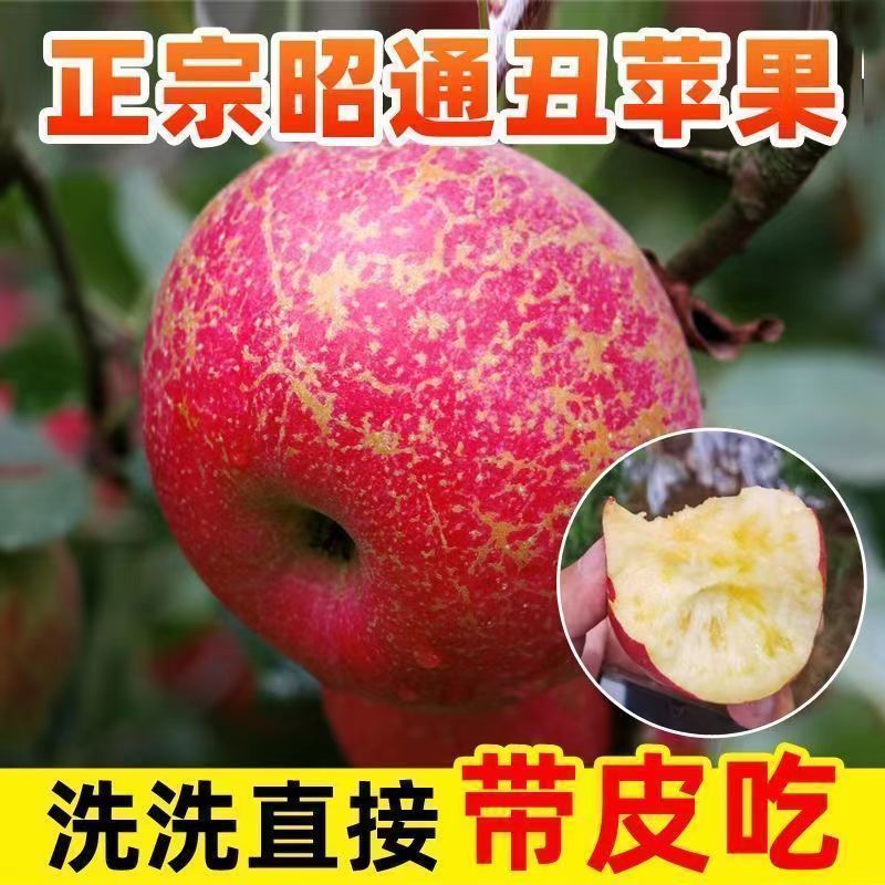 云南昭通丑苹果冰糖心新鲜水果甜脆红富士5斤整箱现摘孕妇无添加