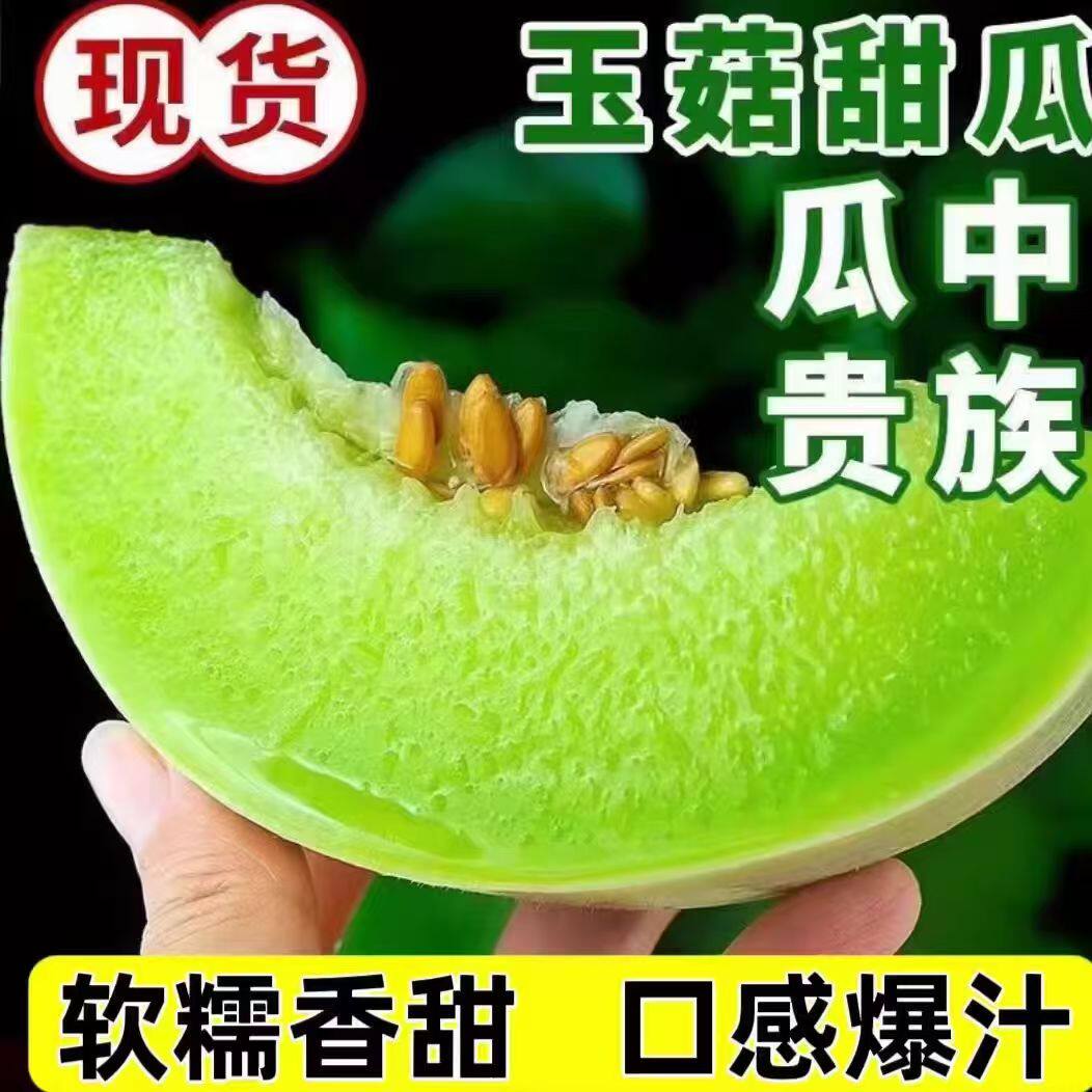 甜瓜玉菇新鲜水果整箱包邮应当季山东蜜瓜香瓜冰淇淋白瓜现摘包邮