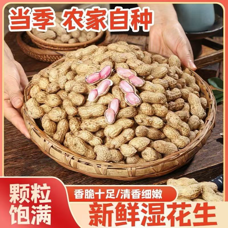 2026新鲜湿花生带壳生花生现挖当季泥壳花生水煮生吃农家包邮