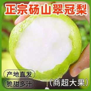 安徽砀山梨子新鲜5斤青皮当季水果翠玉梨苹果梨皇冠梨翠冠梨蜜梨