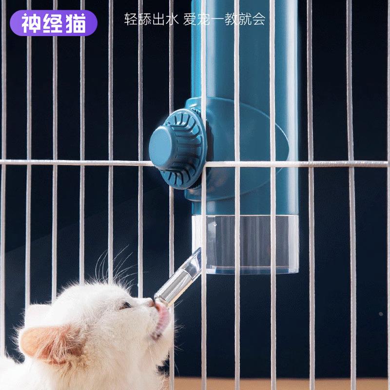 猫咪饮水器挂式不湿嘴自