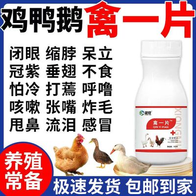 鸡药禽一片鸡病全治养鸡专用药鸭鹅感冒拉稀禽类急救大全特效气喘