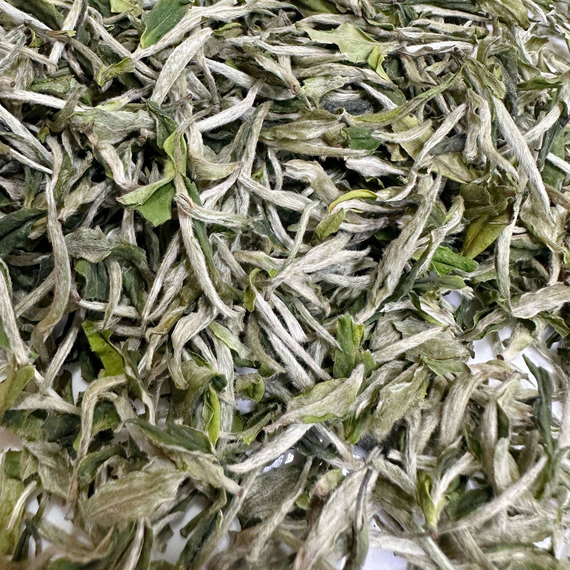 2026年春茶福鼎白牡丹500g 白茶明前花香白牡丹散茶白茶