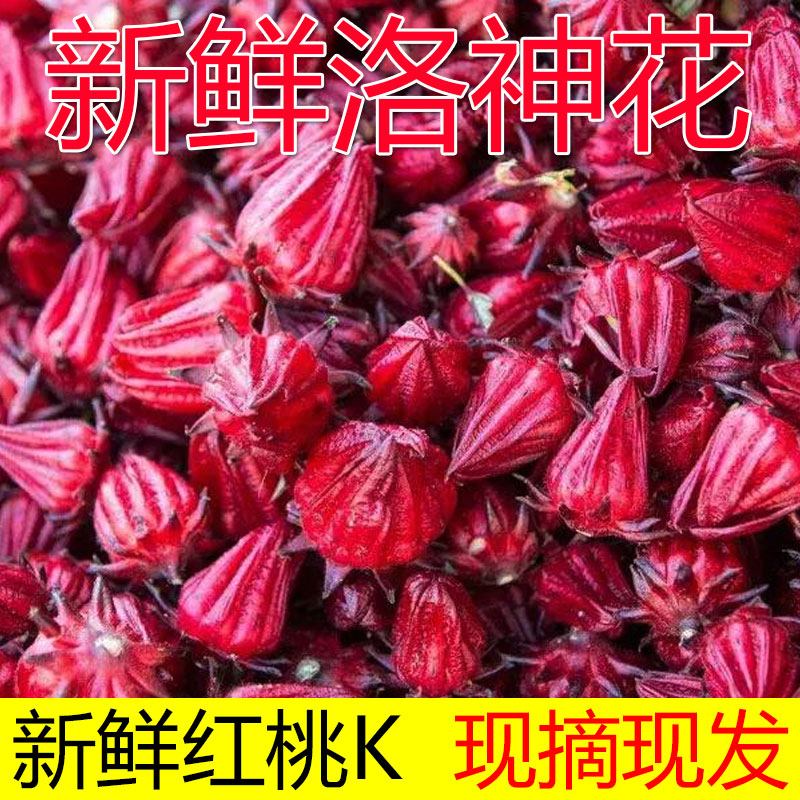 新鲜现摘洛神花广西新鲜红桃k花玫瑰茹可做果脯果茶酵素泡酒