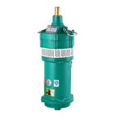 家用小型多级潜水电泵农用220V高压深井抽水泵小老鼠泵清水抽水泵