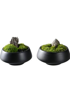 新中式仿真绿色植物盆景客厅茶边几花艺售楼处别墅样板房软装摆件