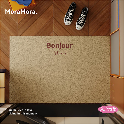 莫兰迪纯色入户门地垫高级感丝圈