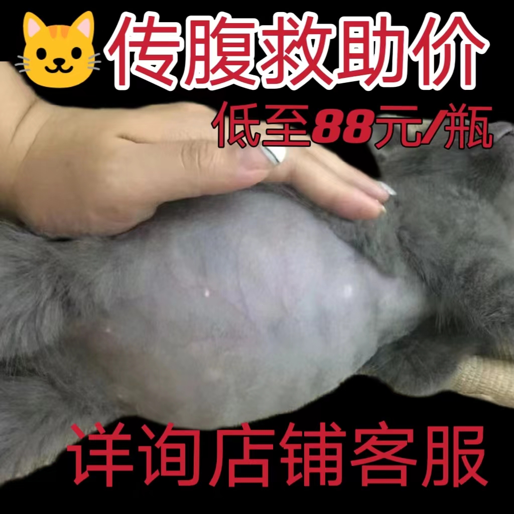 猫传腹水剂油剂针剂抑制剂干性湿性消腹水口服片猫咪腹膜炎营养液