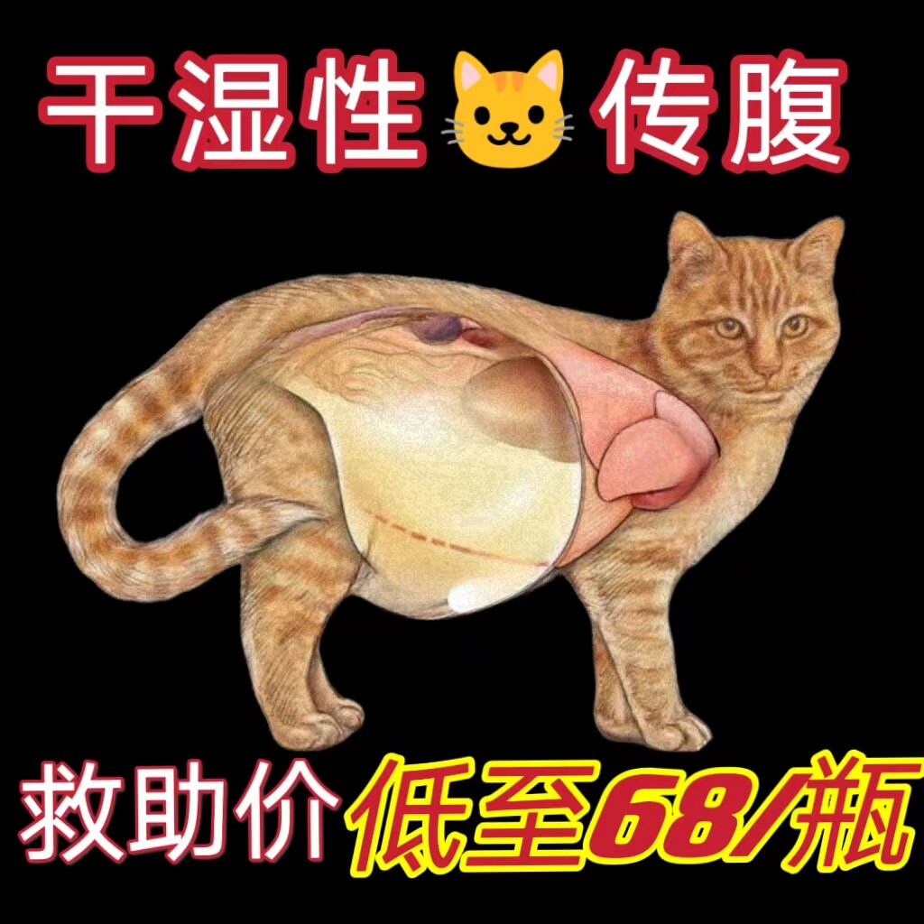 猫传腹干性湿性猫咪特针剂水剂油剂口服片ffipv腹膜炎救助
