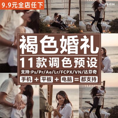 棕色褐色婚礼LR预设欧美风胶片PS人像调色AE/FCPX/PR/LUT视频滤镜