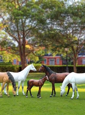 户外仿真骏马玻璃钢雕塑模型草坪大型动物公园林景观白马道具摆件