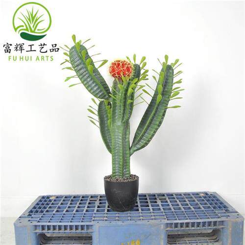 仿真仙人掌仙人棒仙人柱花盆栽假花套装组合家居装饰道具摆件