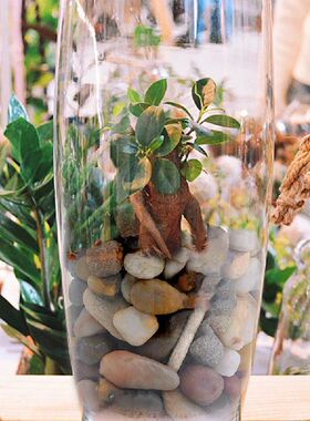 Natural Polished Decorative Agate Stone Natural Polished