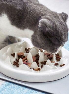 Ceramic Slow Feeder Cats Bowl Interactive Bloat Stop Puzzle