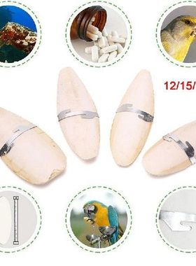 12/15cm Cuttlebone Cuttlefish Sepia Bone Cuttle Fish Bird