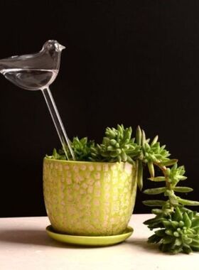 Self Watering Globes Plant Waterer Hand Blown Clear Glass