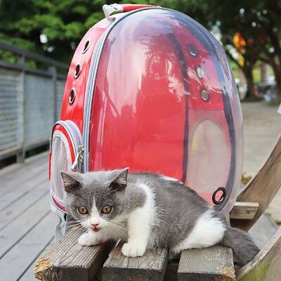 Portable Pet Carrier Bag Bubble Backpack Cat Small Dog
