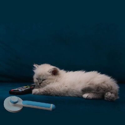 Hot Pet Grooming Brush Cats Dogs Brushes for Long Haired