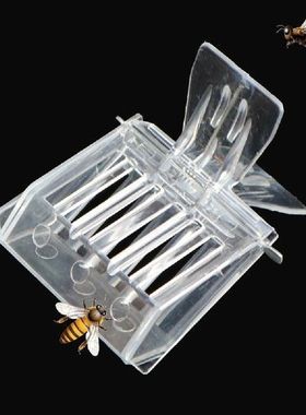 10pcs Clip type rearing plastic catcher cell queen cage bee