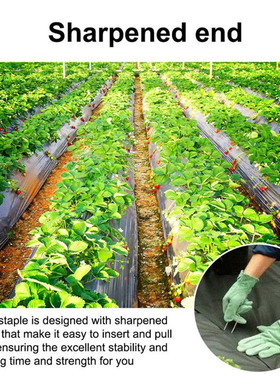 Home Nail Pins Pegs Securing Stainless Steel Stakes Staples