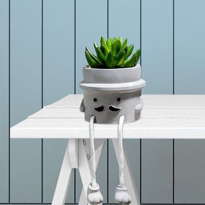 Faux Plants Succulents Plants Artificial Artificial Potted