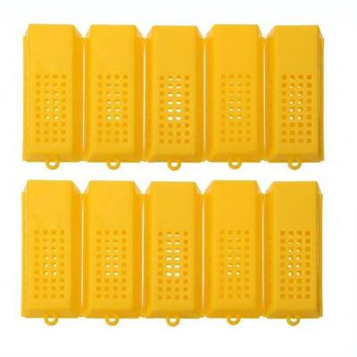 10Pieces set Plastic Bee Cages Beekeeping Transport Cages