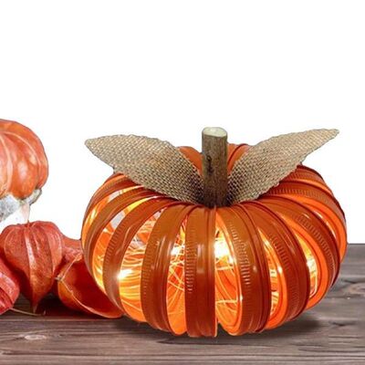 Halloween Fall Pumpkin Decoration Rustic Home Decor