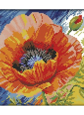 Printed Cross Stitch Kits 11CT DIY Embroidery Starter Kits
