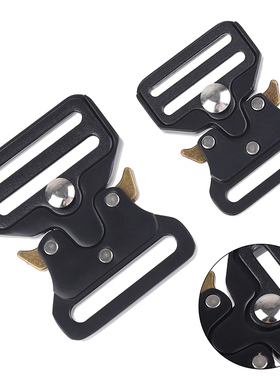 2 Sizes Metal Strap Buckles For Webbing DIY Bag Luggage