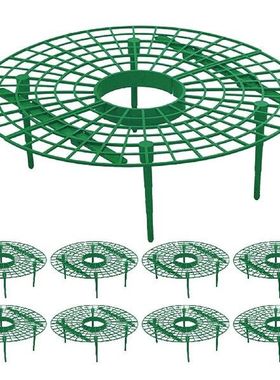 1Pcs/10 Pcs Plastics Strawberry Supports Keep Fruit Fresh