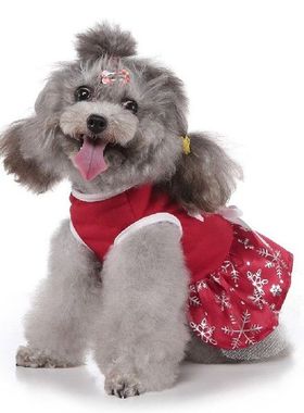 Concrete Succulent Planters Mould New King Queen Flowerpot