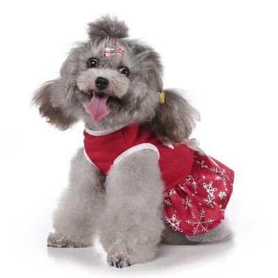 Concrete Succulent Planters Mould New King Queen Flowerpot