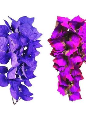 Pet Plant Reptile Breed Box Wall Hanging Vine Decoration